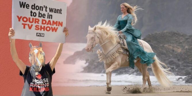 Horses Keep Dying on TV Sets—Tell the Industry to STOP Exploiting Them!