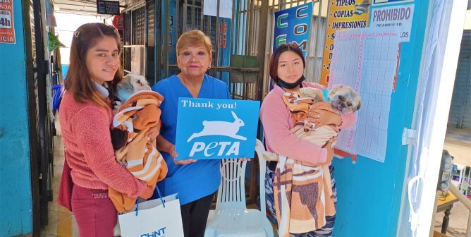 Spay Neuter Patients in Peru hold sign that says "Thank You PETA"