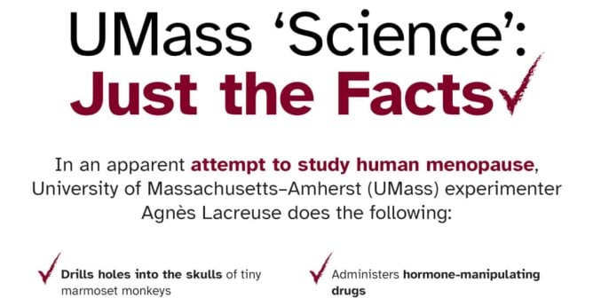 UMass ‘Science’: Just The Facts