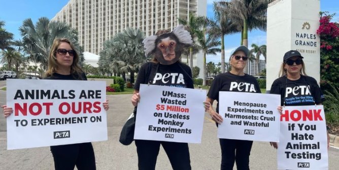 PETA Calls For Federal Probe Into Menopause Experiments at UMass
