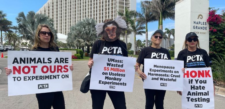 ‘Monkeys’ Rattle School Reception at Florida Resort
