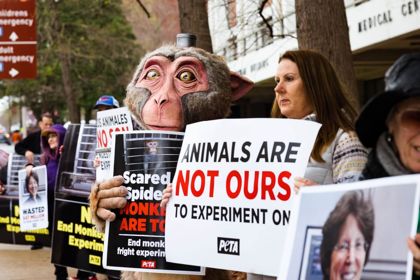 a monkey mascot in a row with other protestors all holding signs