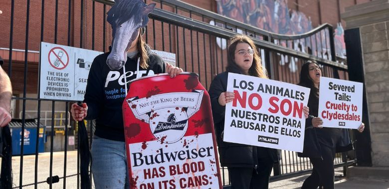 People for the Ethical Treatment of Animals (PETA) People for the Ethical Treatment of Animals (PETA)