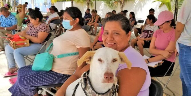 Cancún Spay-a-Thon Reaches Hundreds of Dogs and Cats