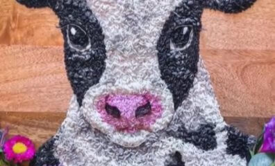 Artist Depicts a Cow’s Face Using Rice, Making a Powerful Statement