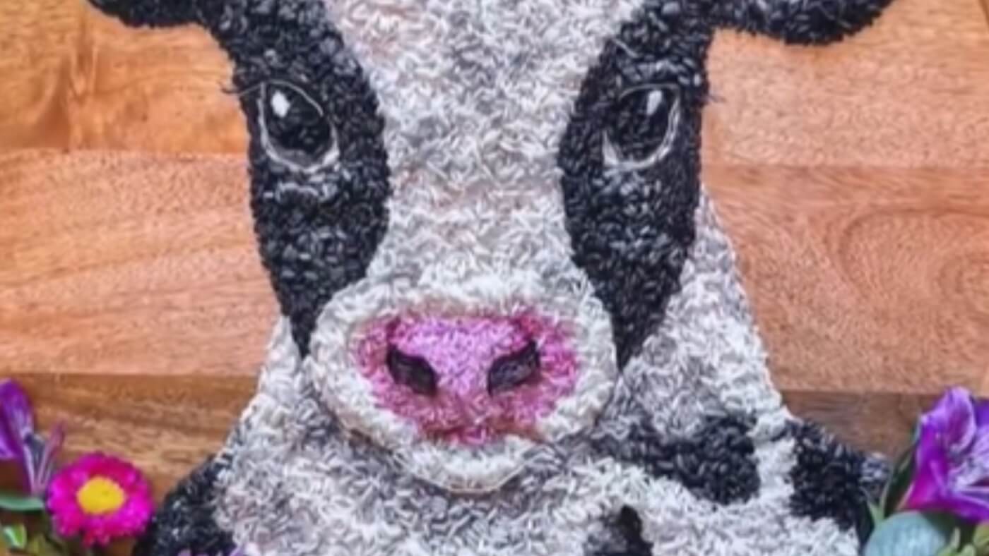 cow rice art video feature image Watch a Kind Influencer’s Rice Art Depict a Cow’s Face
