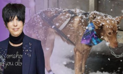 Diane Warren Is ‘Standing With’ PETA to Help End the Iditarod