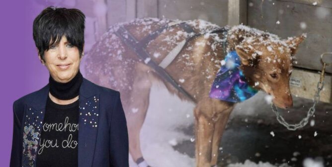 Diane Warren Is ‘Standing With’ PETA to Help End the Iditarod