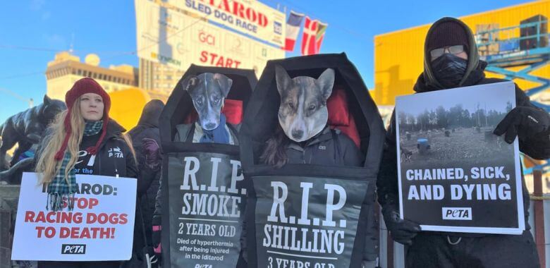 ‘Dogs’ Come Back From the Dead to Protest the Race That Killed Them