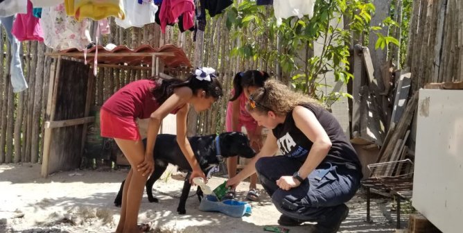 From the Streets to a Safe Shelter: Here’s How PETA Latino and Local Partners Helped Matilda and Other Dogs and Cats in Cancún