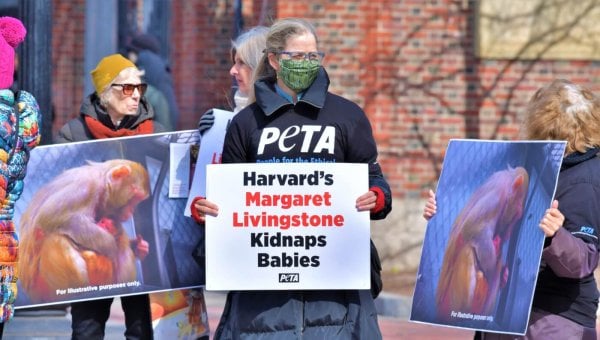 harvard protest front of school