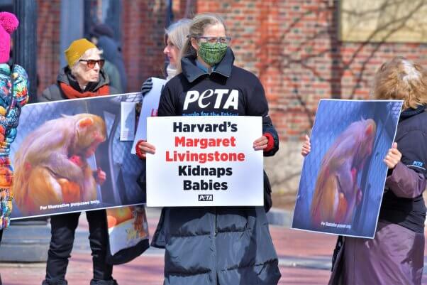 harvard protest front of school