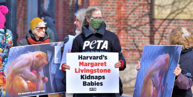 harvard protest front of school