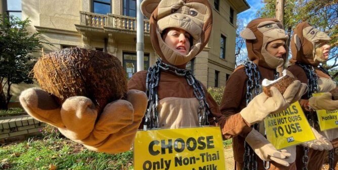 Victory! HelloFresh Won’t Support Forced Monkey Labor