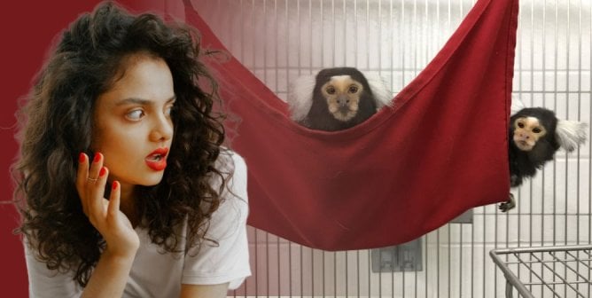 Cruel and Pointless Experiments on Animals Worsen Gender Inequality