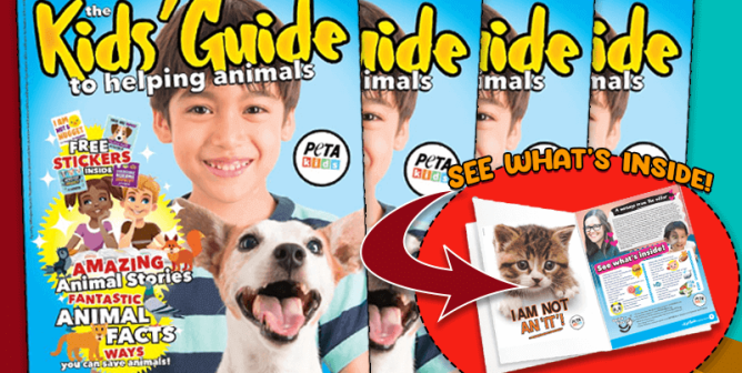 The Kids' Guide to Helping Animals magazines stacked over each other with a circle showing an image of the inside of the magazine