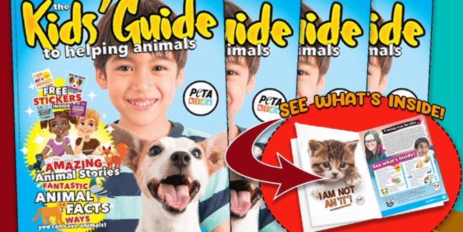 People for the Ethical Treatment of Animals (PETA) People for the Ethical Treatment of Animals (PETA)