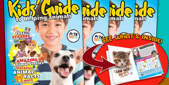 Parents: Don’t Miss This Free Animal-Friendly Kids’ Magazine