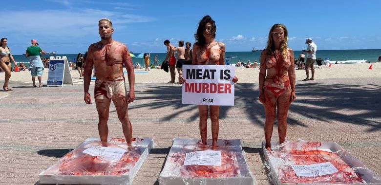 Florida Spring Breakers Meet Their ‘Meat’ Near Beachfront Restaurants