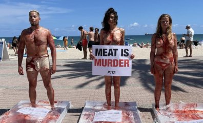 How to Answer if Someone Asks, ‘Why Do People Hate PETA?’