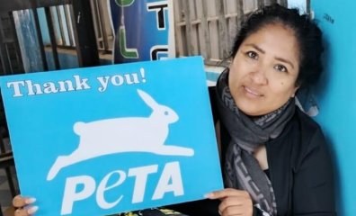 Spay-a-Thons: Making Great Change in Peru