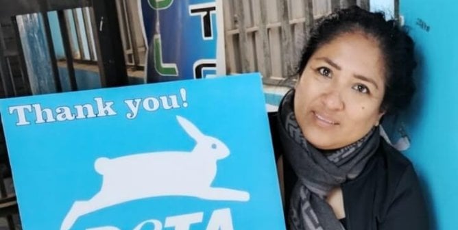 Spay-a-Thons: Making Great Change in Peru