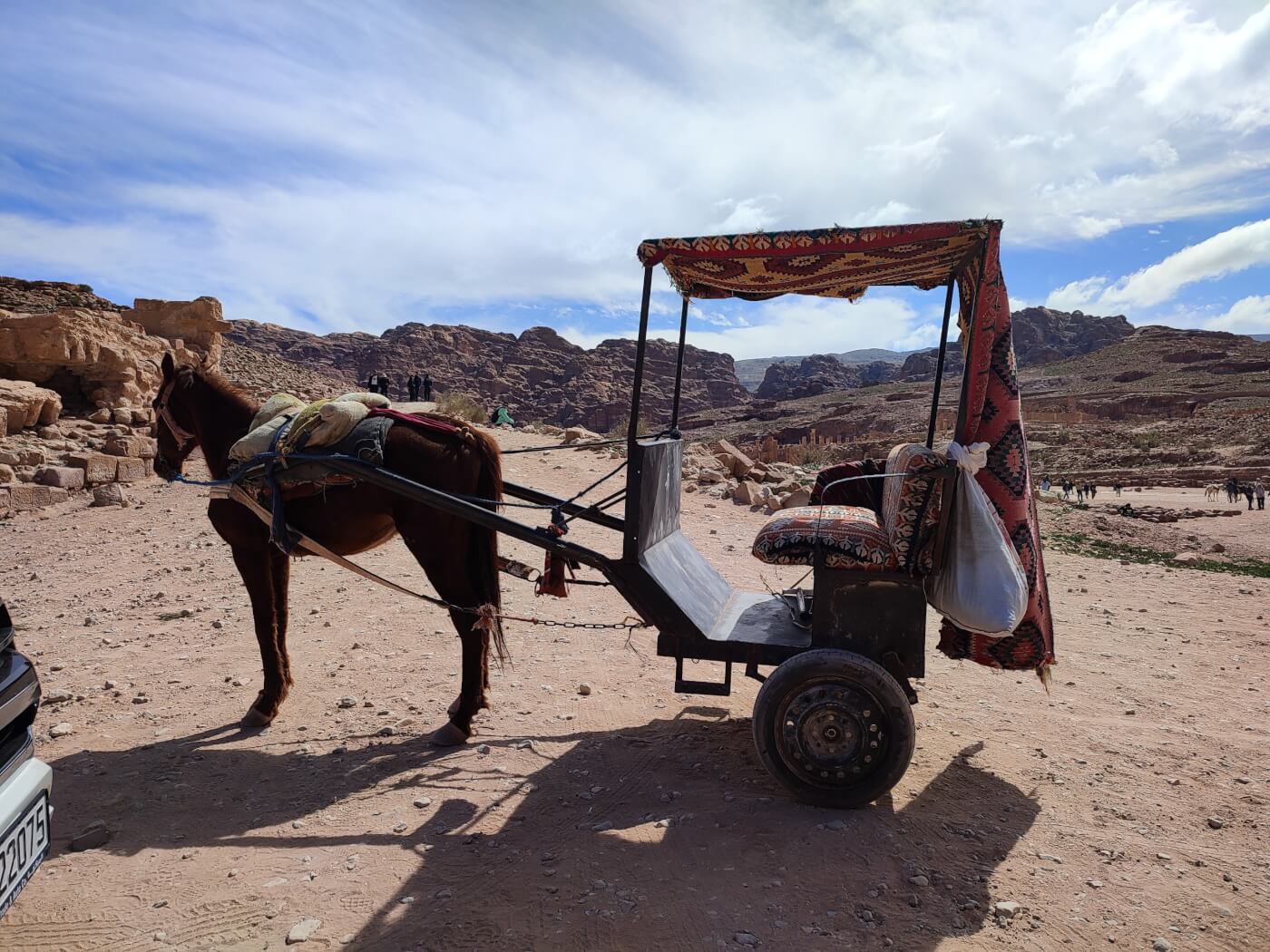 Horse owners are using their weary animals to fill the income gap by forcing them to haul heavy carts loaded with tourists around the archeological site