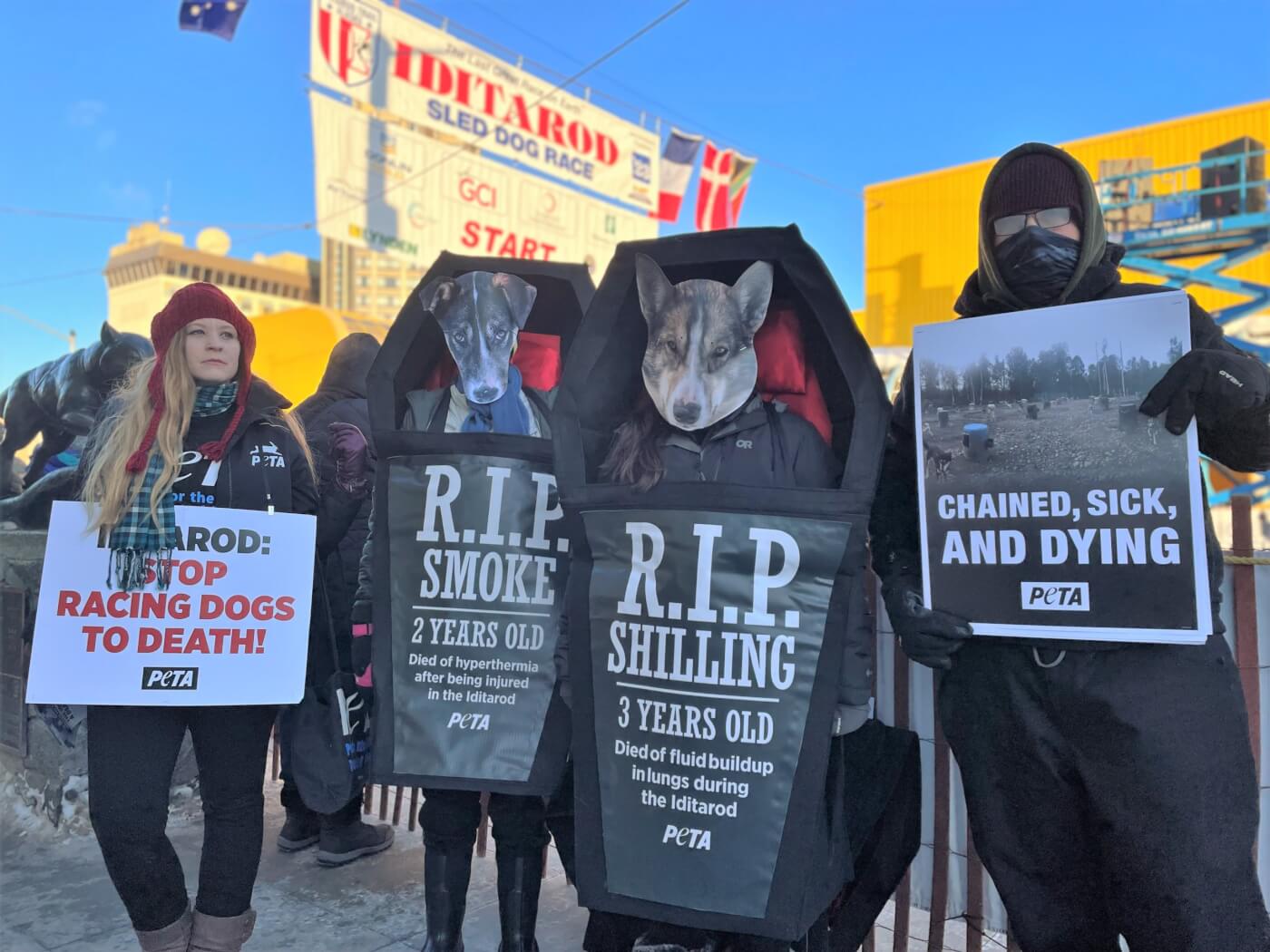 four protestors outside in jackets, two of whom have dog masks and coffin costumes on reading a short eulogy for dogs who died in the Iditarod.