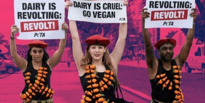 Be at the Forefront of PETA’s Cutting-Edge Campaigns