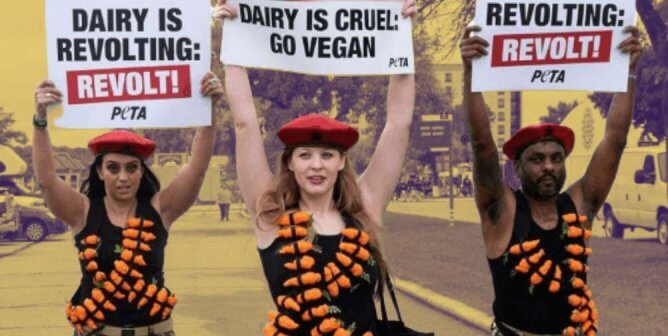 Be at the Forefront of PETA’s Cutting-Edge Campaigns