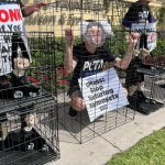 PETA supporters in marmoset monkey masks and stuffed monkeys in cages greeted resort guests and alumni attendees at two UMass speaking events hosted at Florida resorts