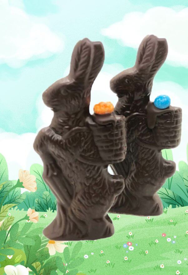 two chocolate bunnies on colorful meadow background drawing