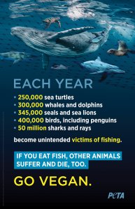 Bycatch Bus Shelter Ad 300 Bus Commuters to Net Free Vegan Fish and a Whale of a Warning From PETA