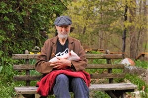James Cromwell with rescued pig on bench