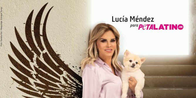 Lucia Mendez: Gana Tus Alas. Esteriliza Y Adopta. Sé Un Ángel Para Los Animales.
