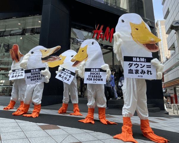 PETA Asia Tokyo Duck Protest at H&M