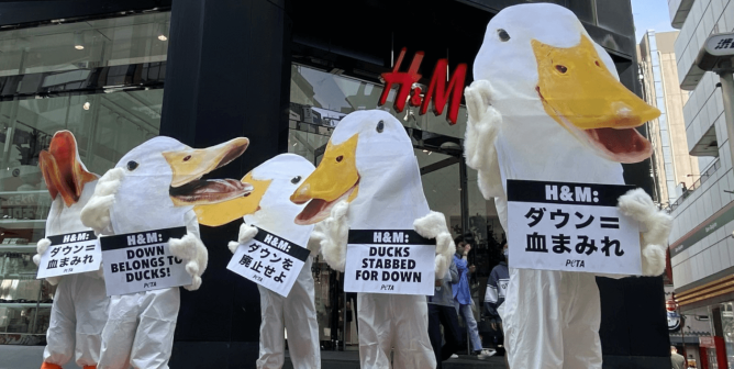 PETA Asia Tokyo Duck Protest at H&M