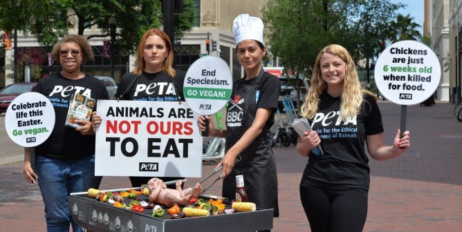 What Did PETA Do Wrong?