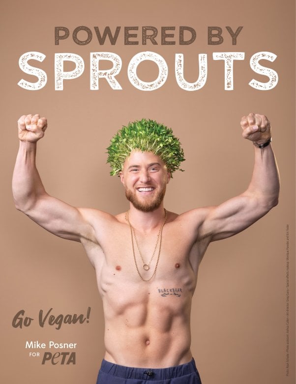 mike posner with sprouts on head