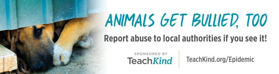 TeachKind: Animals Get Bullied, Too. Report Abuse To Local Authorities