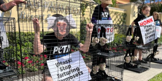 Caged ‘Monkeys’ Rattle UMass Alumni Reception at Florida Resort