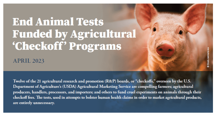Image with a photo of a pig with the following text: "Twelve of the 21 agricultural research and promotion (R&P) boards, or "checkoffs," overseen by the U.S Department of Agriculture