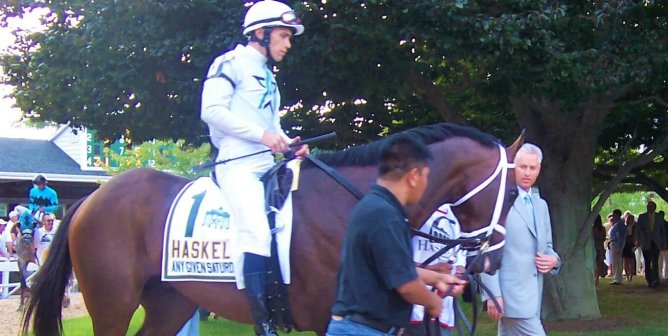Victory! Retired Champion Racehorse Home Safe From Likely Slaughter