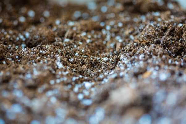 close up photo of soil