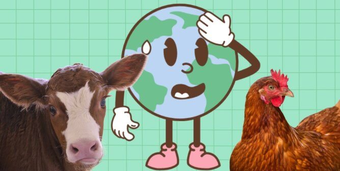 4 Reasons People Who Care About the Planet Should Stop Eating Animals