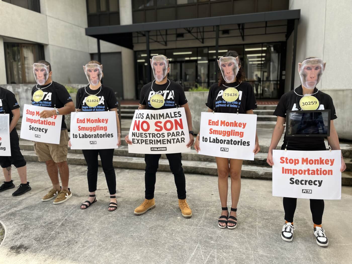 Five PETA protesters stand in a line holding signs reading "Stop Monkey Importation", "Los Animales no son nuestros para experimentar", and "End Monkey Smuggling"