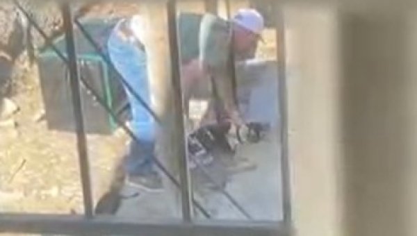 No Charges Filed in Oklahoma After Videotaped Attack on Small Dog?