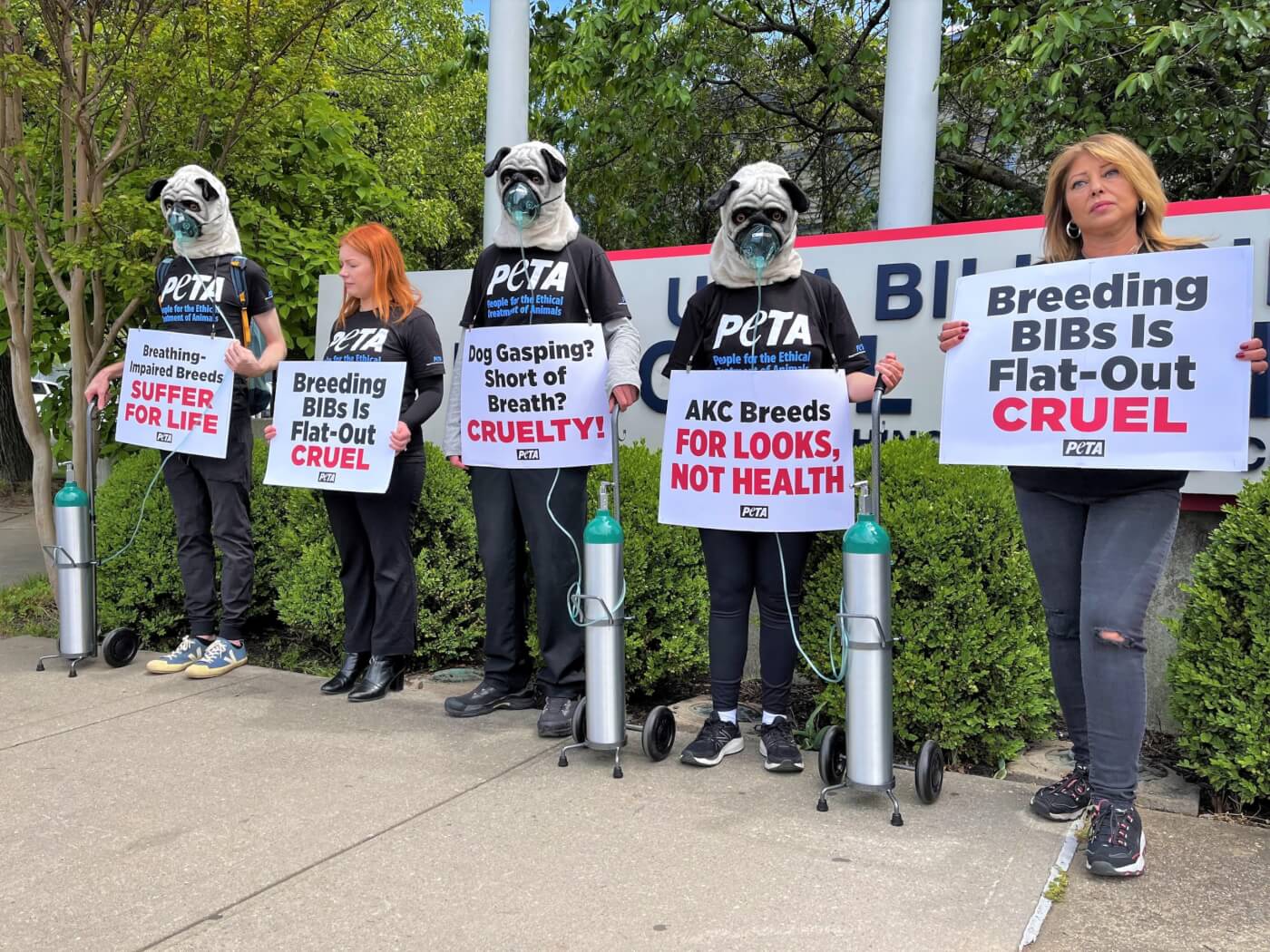 Protesters wearing pug masks holding signs against BIBs outside dog show