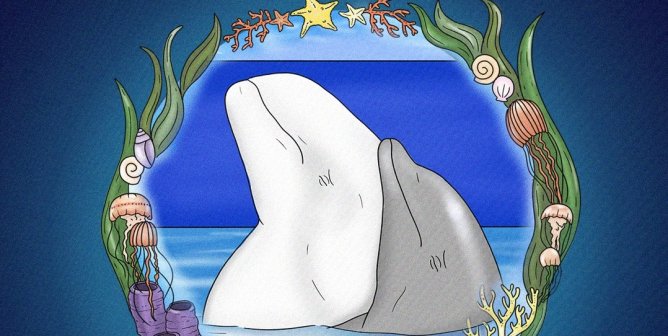 Three Cetaceans Dead in Two Months at Marineland of Canada