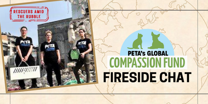 Little Leona Was Trapped on a Fourth-Floor Ledge—See What Happened at This Free Event!